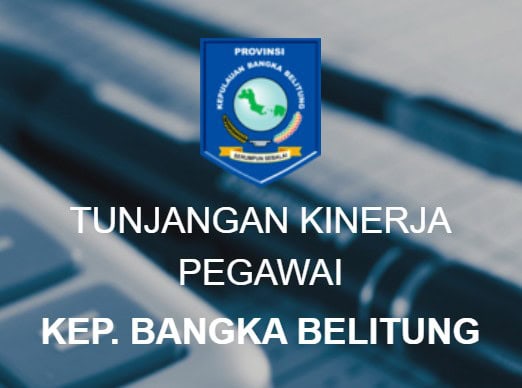 E-KINERJA ASN BABEL