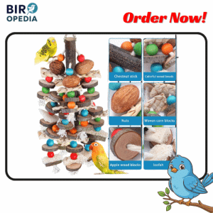 Bird Toys for Large Parrots
