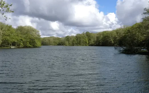 COLES COUNTY CAMPING | 2 BEST CAMPGROUNDS NEAR CHARLESTON-MATTOON 3_2021 walnutpoint