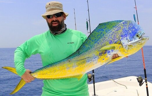 Best Mahi Stickbaits