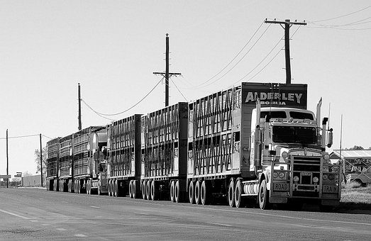 Ein australischer Road Train mit Anhängern in schwarz-weiß