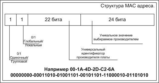 Разница между IP-адресом и MAC-адресом 3 Структура MAC-адреса