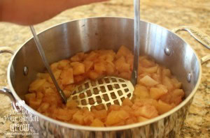 mashed apples