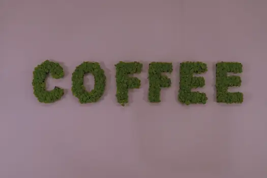 Lettre enseigne végétale naturelle, décoration écologique pour signalétique d’entreprise