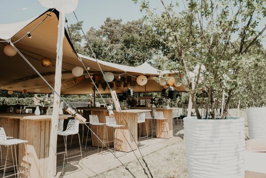 Farm Attraction Canopy Cover Stretch Tents