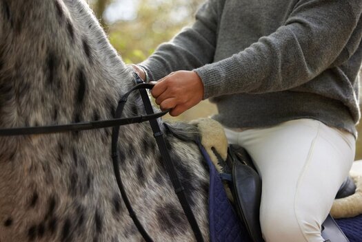 Rider gently holds reins on a spotted horse, wearing a gray sweater and white riding pants.