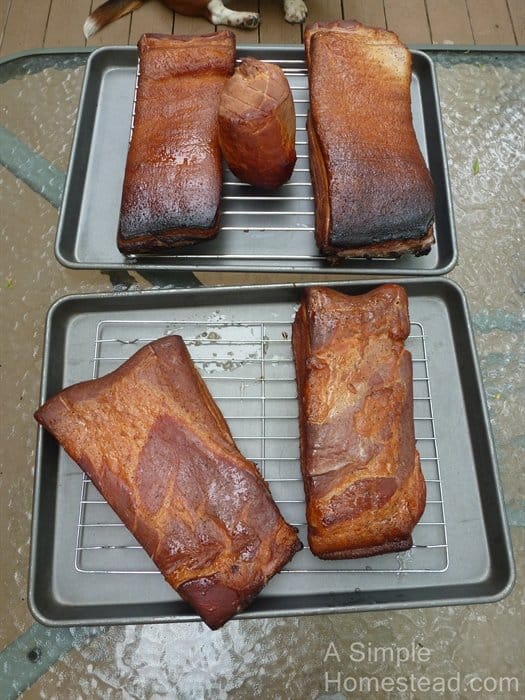 bacon - finished smoking
