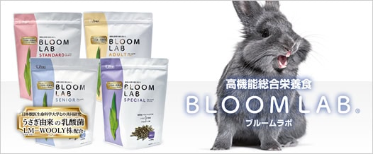 BLOOM LAB