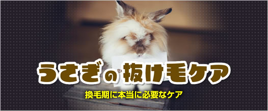 抜け毛のケア