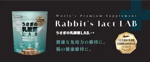 うさぎの乳酸菌LAB