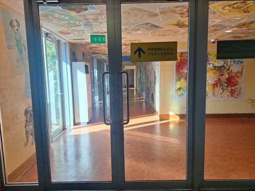 わんこじかん | 愛犬と自由気ままに過ごす旅　伊豆高原わんわんパラダイス・コンドミニアム（1日目）