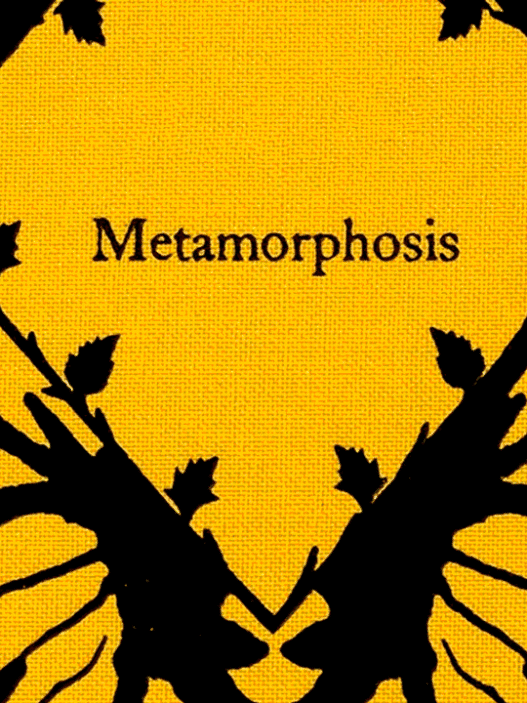 Symbol of Metamorphosis