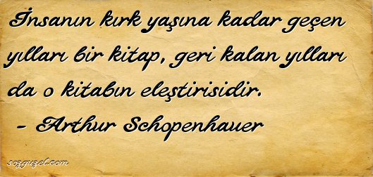 Öğrenme yaşı