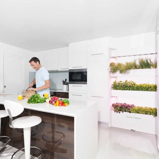 click and grow wall farm click and grow wall farm