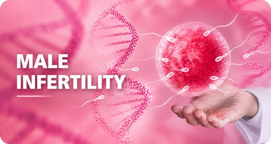 Male Infertility Treatment in Bhubaneswar