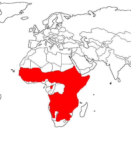 Spotted Hyena range map