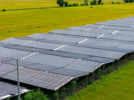 Trang trại điện mặt trời kết hợp nông nghiệp Agri-PV tại Việt Nam