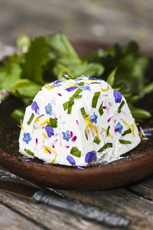 Ziegenfrischkäse mit Frühlingsblüten ist schnell gemacht und ein Highlight für den Osterbrunch. Die Blüten und Kräuter verleihen ihm ein besonderes Aroma.