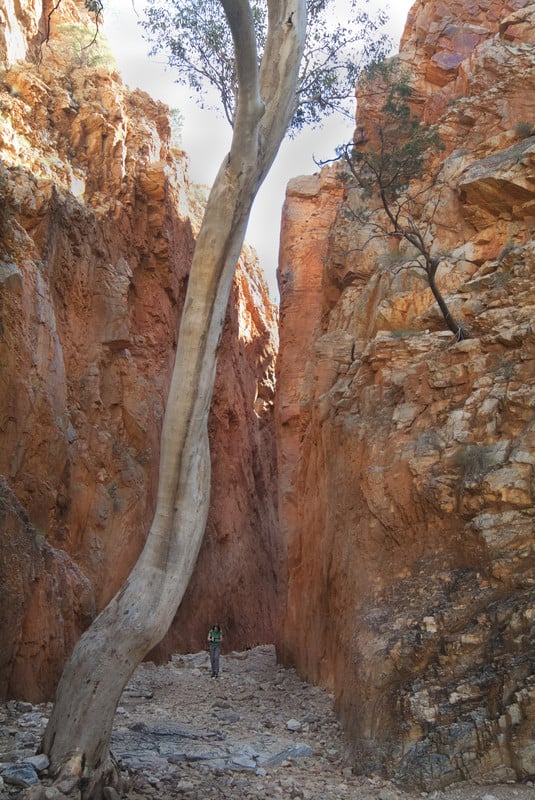 Standley Chasm Central Australia
