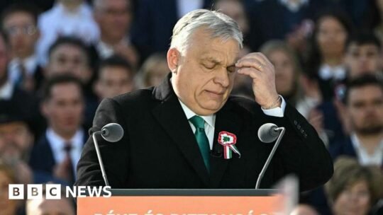 No serving leader in the European Union has led their