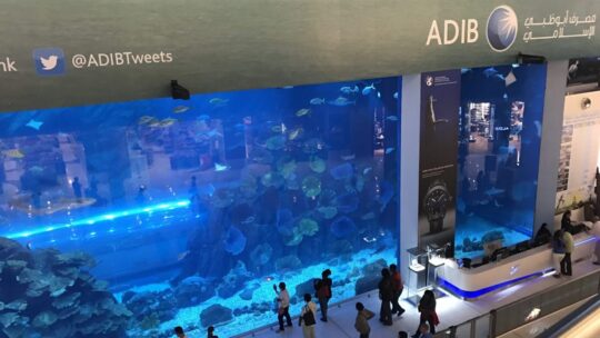 Tagesausflug in Dubai – Burj Kahlifa, Dubai Mall Aquarium, der Gold Souk und die Burjuman Mall am nächsten Morgen