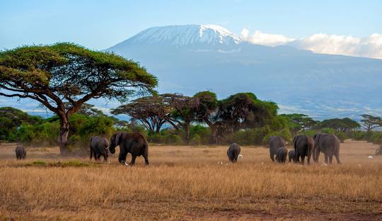 Amboseli National Park
