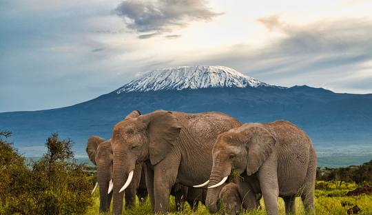 Amboseli National Park