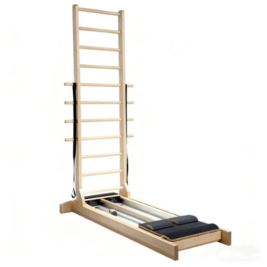 two step ladder bed