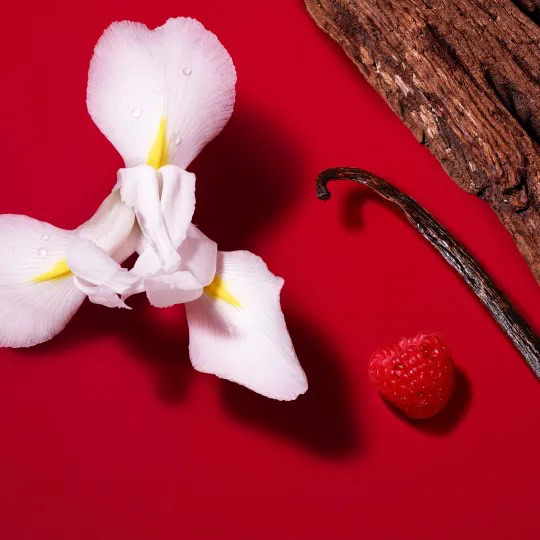 si passione red bloom eau de parfum03