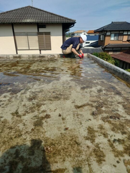 ドレン口に排水ブラシを差し込んで洗ってみる