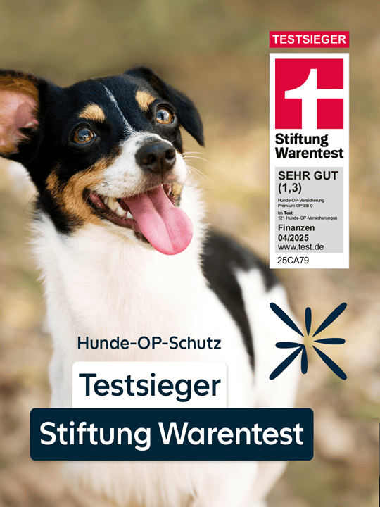 Hunde-OP-Versicherung