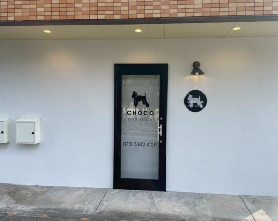 ドッグサロンチョコ