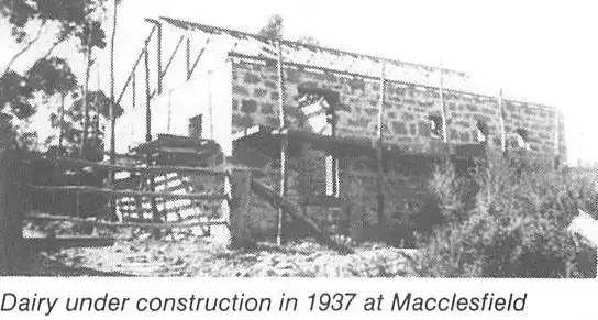 Dairy under construction in 1937 at Macclesfield.