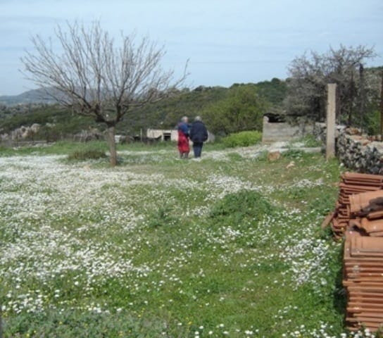 sale evia building land