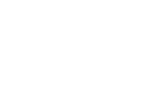 bluechain_logo