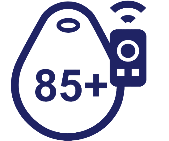 85 key fob models icon