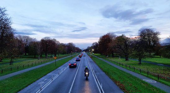 Beautiful Phoenix Park in the evening from the hop on-hop off