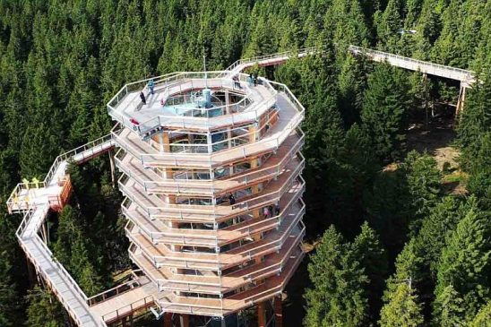 Rogla kilátótorony a Pohorje-hegység fenyvesei között, kirándulóközpont látképe