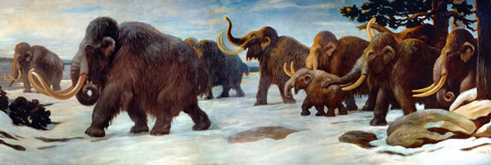 wooly_mammoths_in_alaska