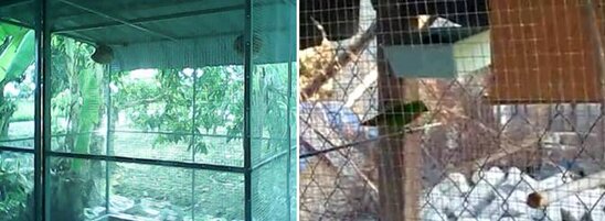 Beberapa jenis kandang aviary yang bisa digunakan
