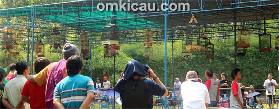 One Stop Pleci Festival - Jogja
