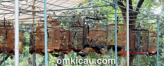 Ragunan BC
