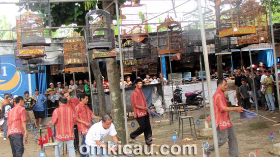 Lomba Burung di Lembang