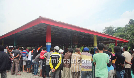 South of Java Festival