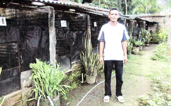 Mr Pri - Pri Bird Farm Mojokerto