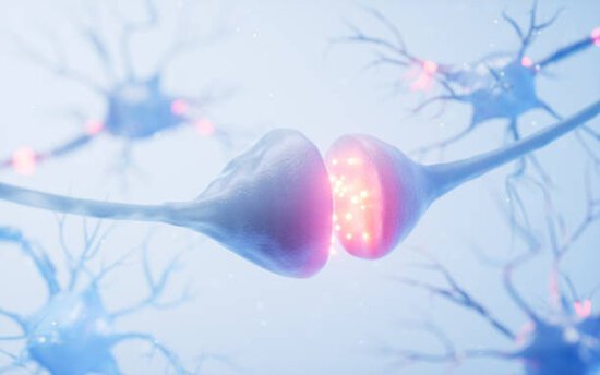 A stylized illustration shows a synapse, the junction between two neurons, with neurotransmitters depicted as glowing particles passing between them.