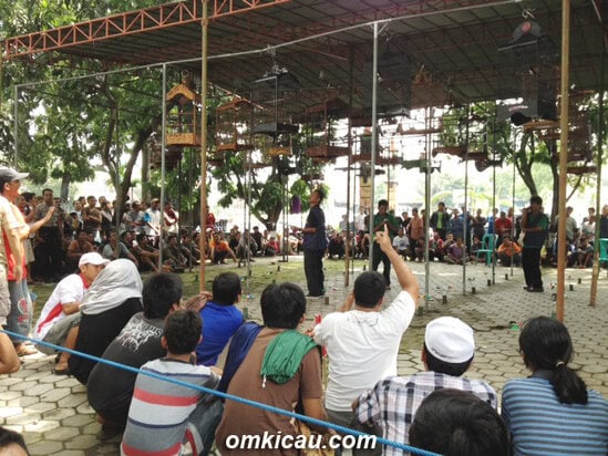 Peserta nekat mendukung jagoannya dari dalam pagar,