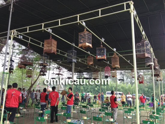 Suasana lomba IKPBS Balekambang Solo, Sabtu (30/3) lalu.