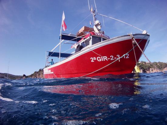 Triton Diving Llafranc