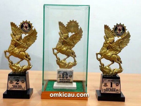 Jambi Team juara umum BC